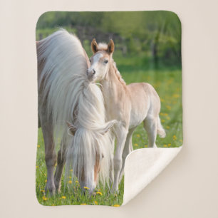 Haflinger Pferde Niedliche Babyfohlen mit Mama-Fot Sherpadecke