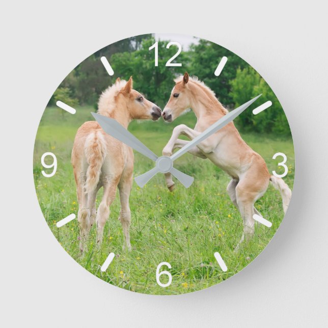 Haflinger Pferde Niedliche Fohlen Aufzucht Faun Wä Runde Wanduhr (Vorderseite)