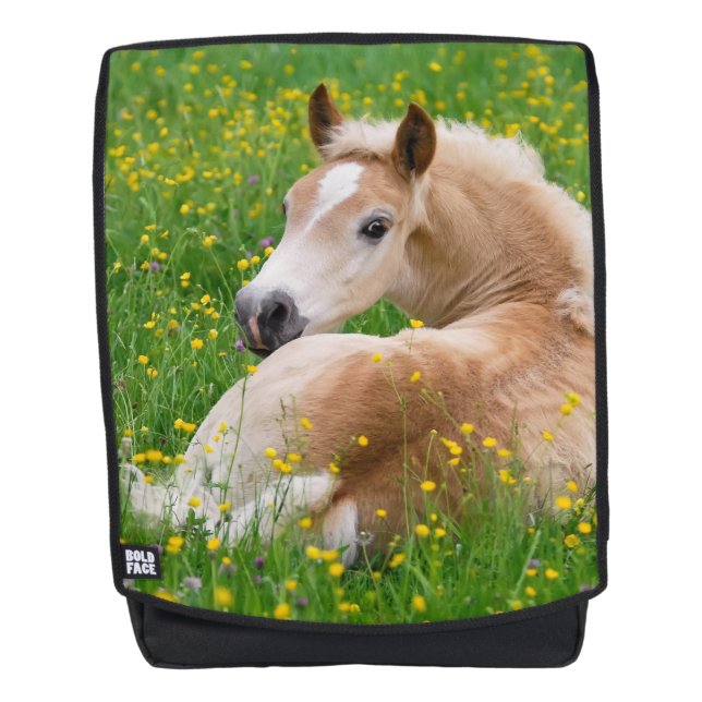 Haflinger Pferdeniedliches Fohlen in einer Rucksack (Vorderseite)