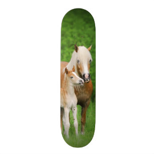 Haflinger Pferdeniedliches Fohlen-Kuss-Mama-Foto Skateboard
