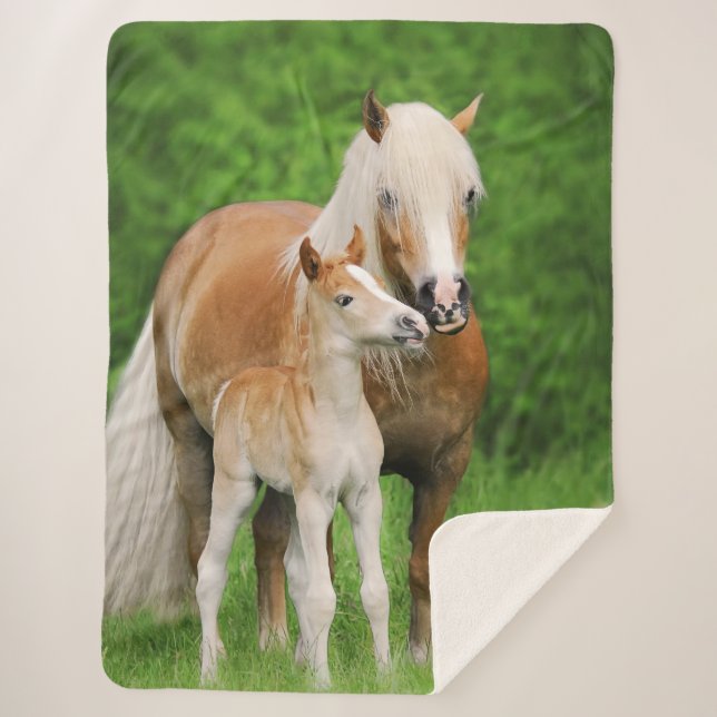 Haflinger Pferdeniedliches Sherpadecke (Vorderseite)