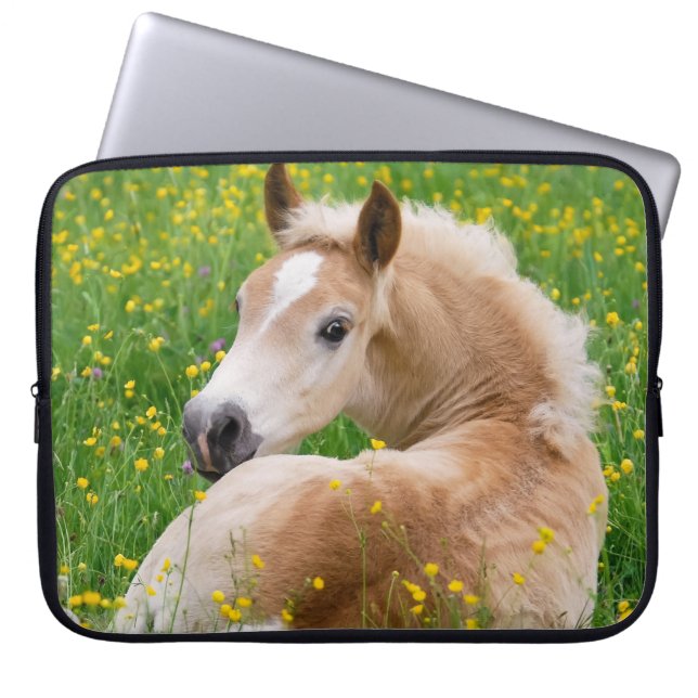 Haflinger Pony-Pferdeniedliches Fohlen im Laptopschutzhülle (Vorderseite)