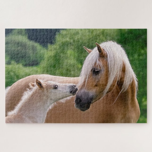Haflinger-Stute und Fohlen-Kuschel Puzzle (Horizontal)