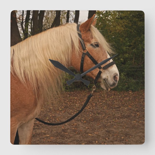 Haflinger Wallach Mifisto - Wanduhr (Vorderseite)