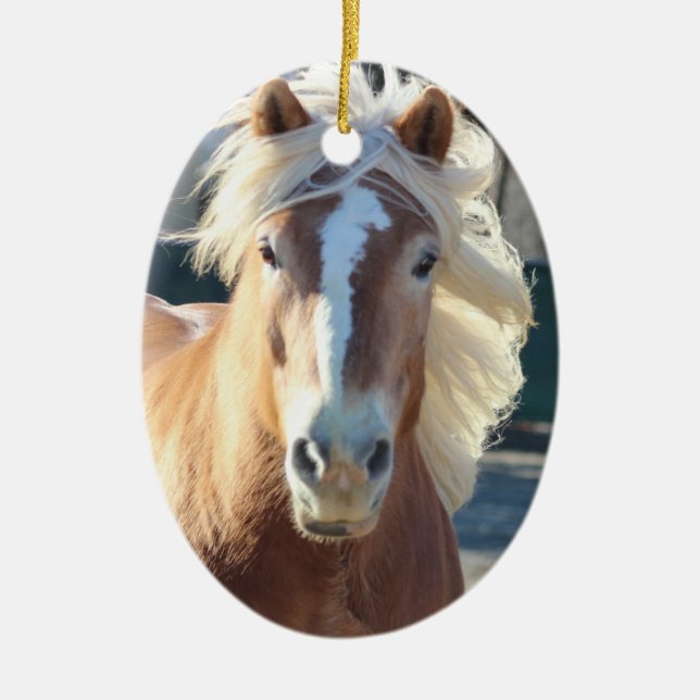 Haflinger Weihnachtsverzierungen Keramik Ornament (Vorne)