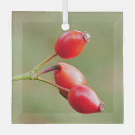 Hagebutten-Schmuck Ornament Aus Glas