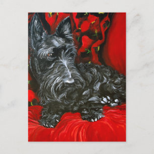 Haggis der schottische Terrier Postkarte