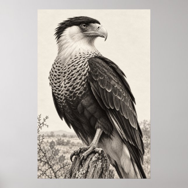 Hähenkarakara in Südtexas Graphit Poster (Vorne)