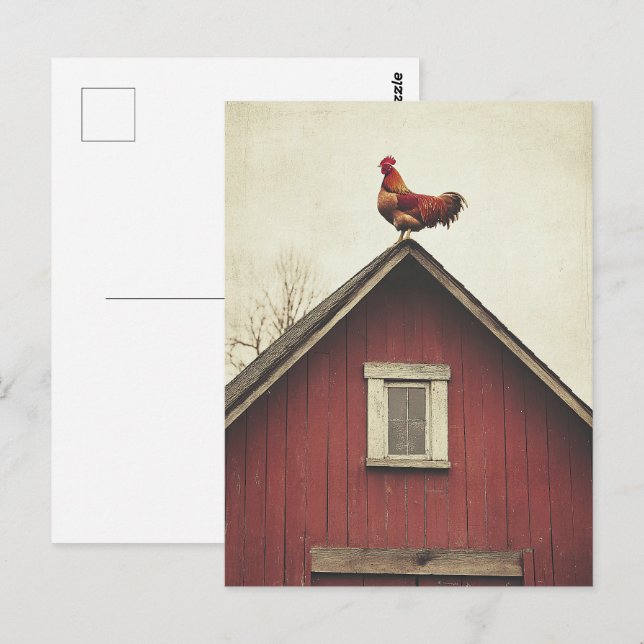 Hahn auf dem Dach Postkarte (Vorne/Hinten)