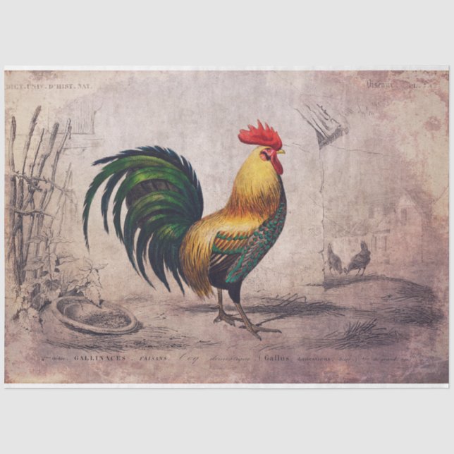 Hahn-Gewebe oder Decoupage-Papier Seidenpapier (Vorderseite)