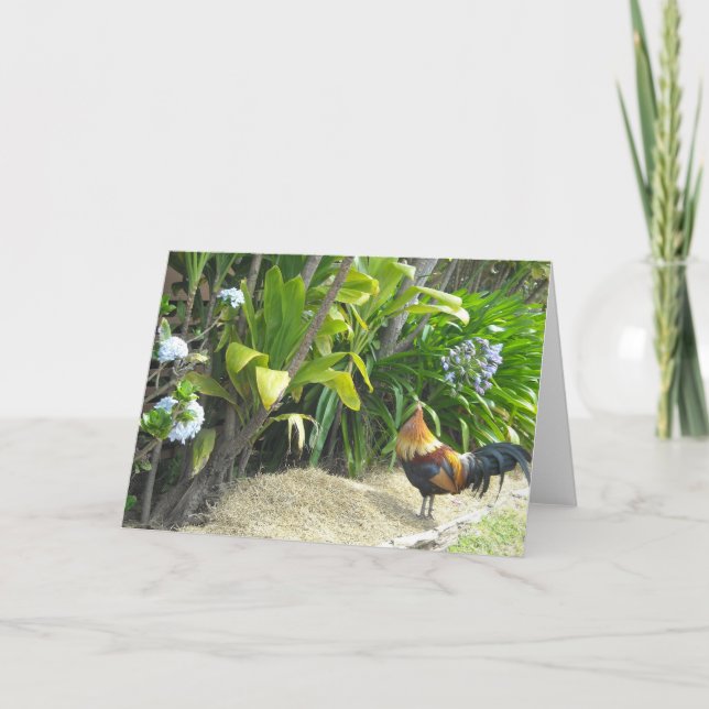 Hahn-leere Natur Karte (Vorderseite)