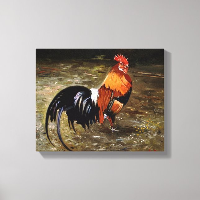 Hahn/Rooster/Gallisch Leinwanddruck (Vorderseite)