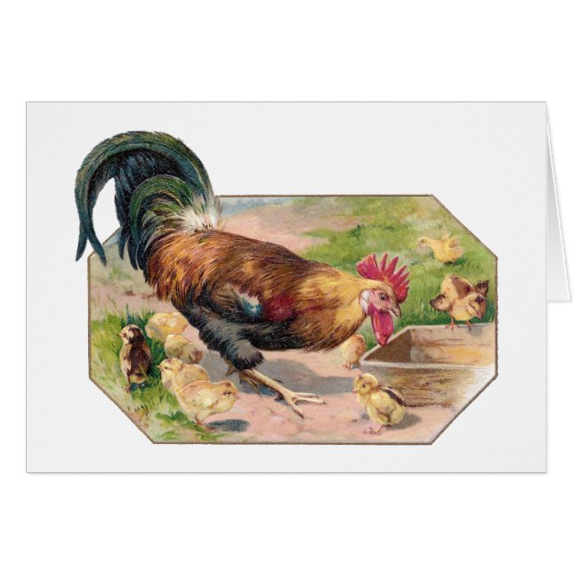Hahn und Küken (Vorderseite (Horizontal))