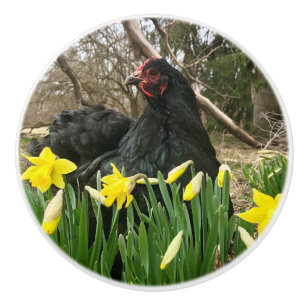 Hähnchen-Hähnchen, schwarz, in Hülsenfrüchten Keramikknauf