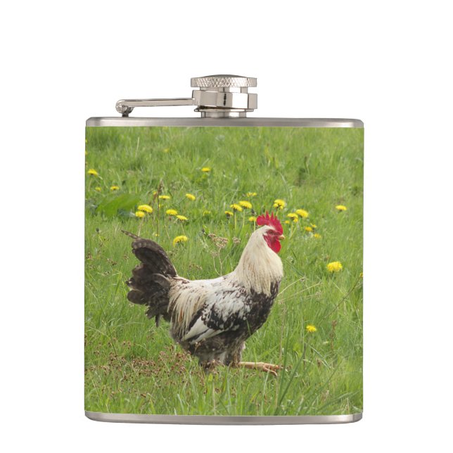 Hähnchen, Hähnchen, Tiere, Vögel, landwirtschaftli Flachmann (Vorderseite)