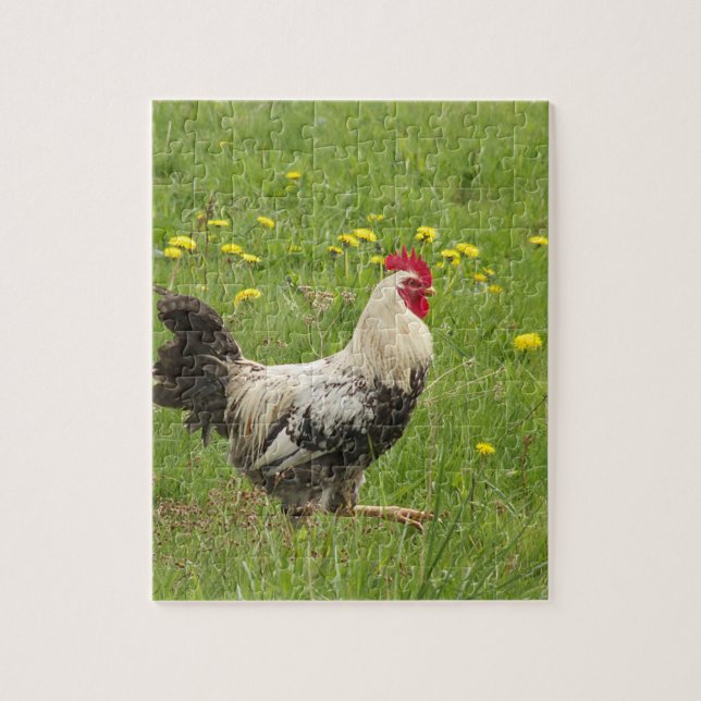 Hähnchen, Hähnchen, Tiere, Vögel, landwirtschaftli Puzzle (Vertikal)