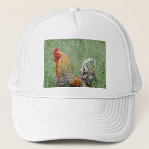 Hähne Truckerkappe