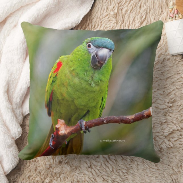 Hahns Mini-Macaw/Rot-Schulter-Ara Kissen (Decke)