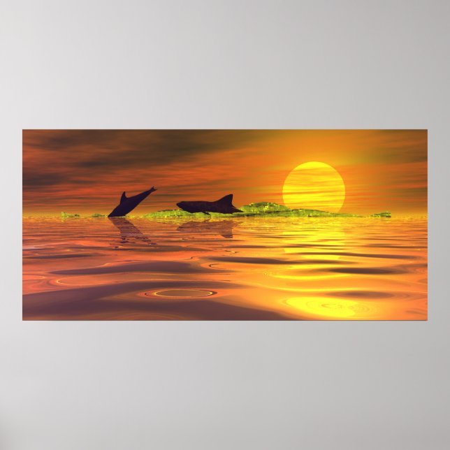 Hai-Delphin Das Spiel des Lebens Poster (Vorne)