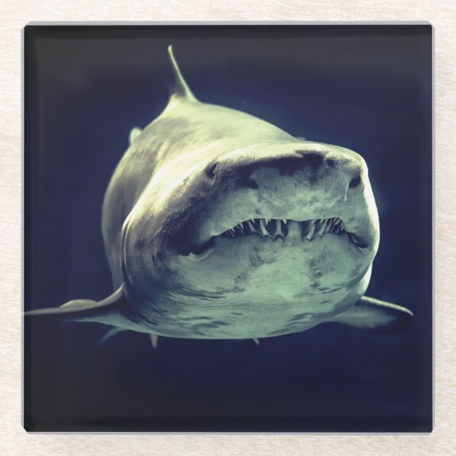 Hai Glasuntersetzer (Vorderseite)