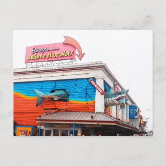 Hai in Maryland, USA Feiertagspostkarte