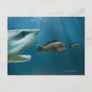 Hai jagen Seebarsch jung Postkarte