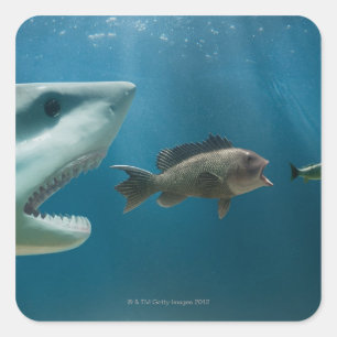 Hai jagen Seebarsch jung Quadratischer Aufkleber