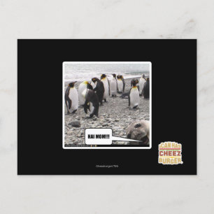 HAI MAMA!!! POSTKARTE