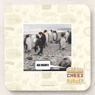 HAI MAMA!!! UNTERSETZER