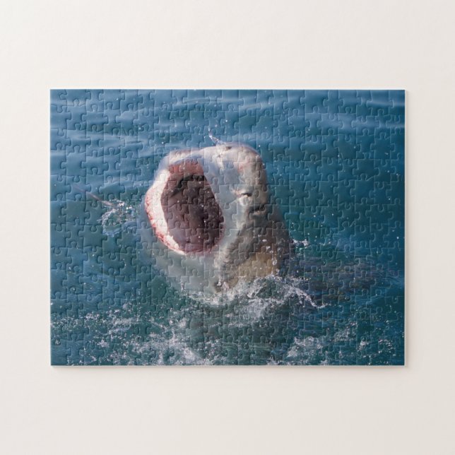 Hai-Puzzle Puzzle (Horizontal)