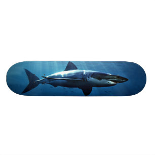 Hai-Skateboard Skateboard