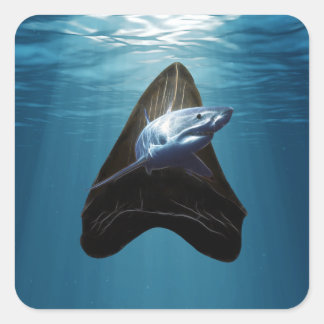 Hai-Tooth-Ozean Quadratischer Aufkleber