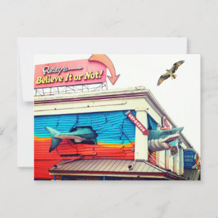 Hai und Osprey Postkarte