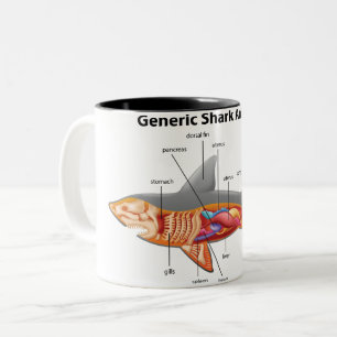 Hai Zweifarbige Tasse