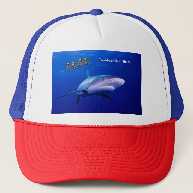 Haibild für Trucker-Hat Truckerkappe (Vorderseite)