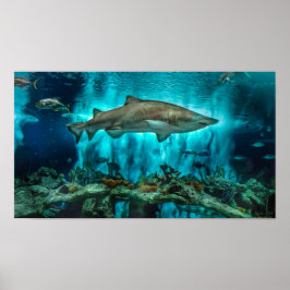 Haie auf der Schüssel Poster
