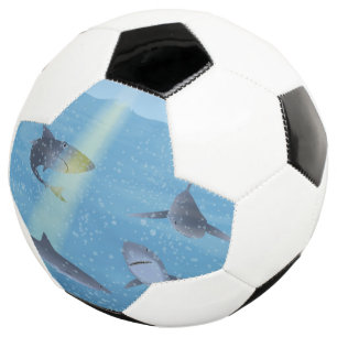 Haie Fußball