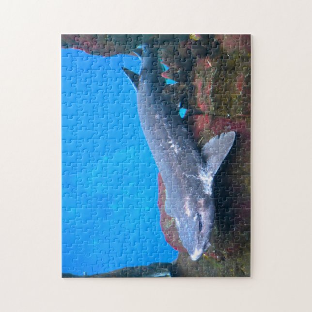 Haie im Meer. Puzzle (Vertikal)