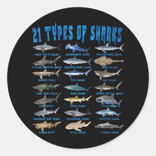 Haie liebt 21 Arten von Haien Runder Aufkleber (Vorderseite)