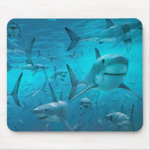 Haie Mousepad