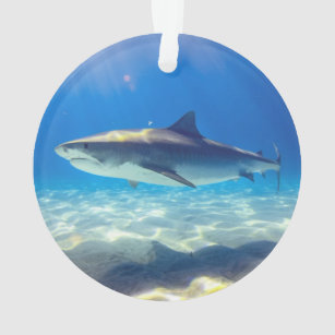 Haie Schwimmen Blauer Ozean Wasser Ornament