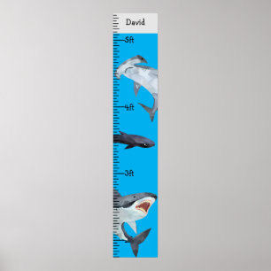 Haien Boy Name Growth Chart Personalisiert Poster