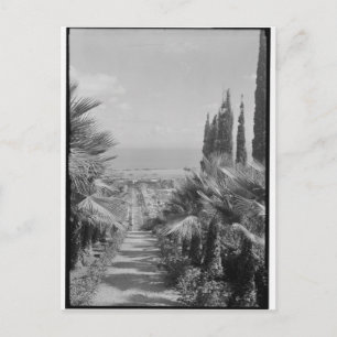Haifa - vom Mt. Carmel, 1920er Postkarte