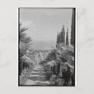 Haifa - vom Mt. Carmel, 1920er Postkarte