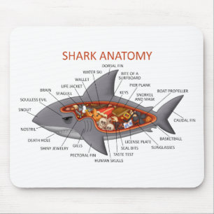 Haifisch-Anatomie Mousepad