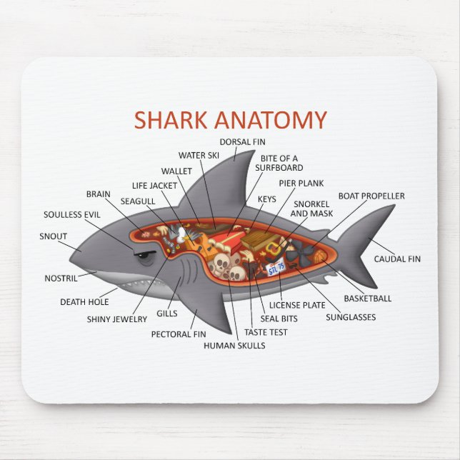 Haifisch-Anatomie Mousepad (Vorne)