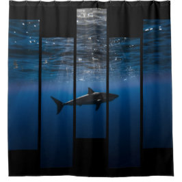 Haifisch-Behälter:  Blau und Schwarzes Duschvorhang