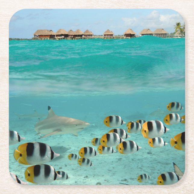 Haifisch, der Fische im Bora Bora SeeUntersetzer Rechteckiger Pappuntersetzer (Vorderseite)