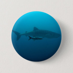 Haifisch-Fisch-Ozean-Wasser-tropische Button