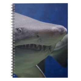 Haifisch-Gesicht Notizblock